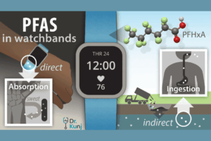 Your Smartwatch Band Might Be Toxic: PFAS Risks and Safer Alternatives
